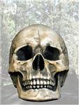 FSD12217 De Mortuis Skull